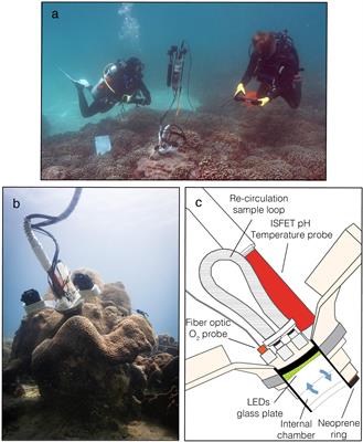 A Diver-Portable Respirometry System for in-situ Short-Term Measurements of Coral Metabolic Health and Rates of Calcification